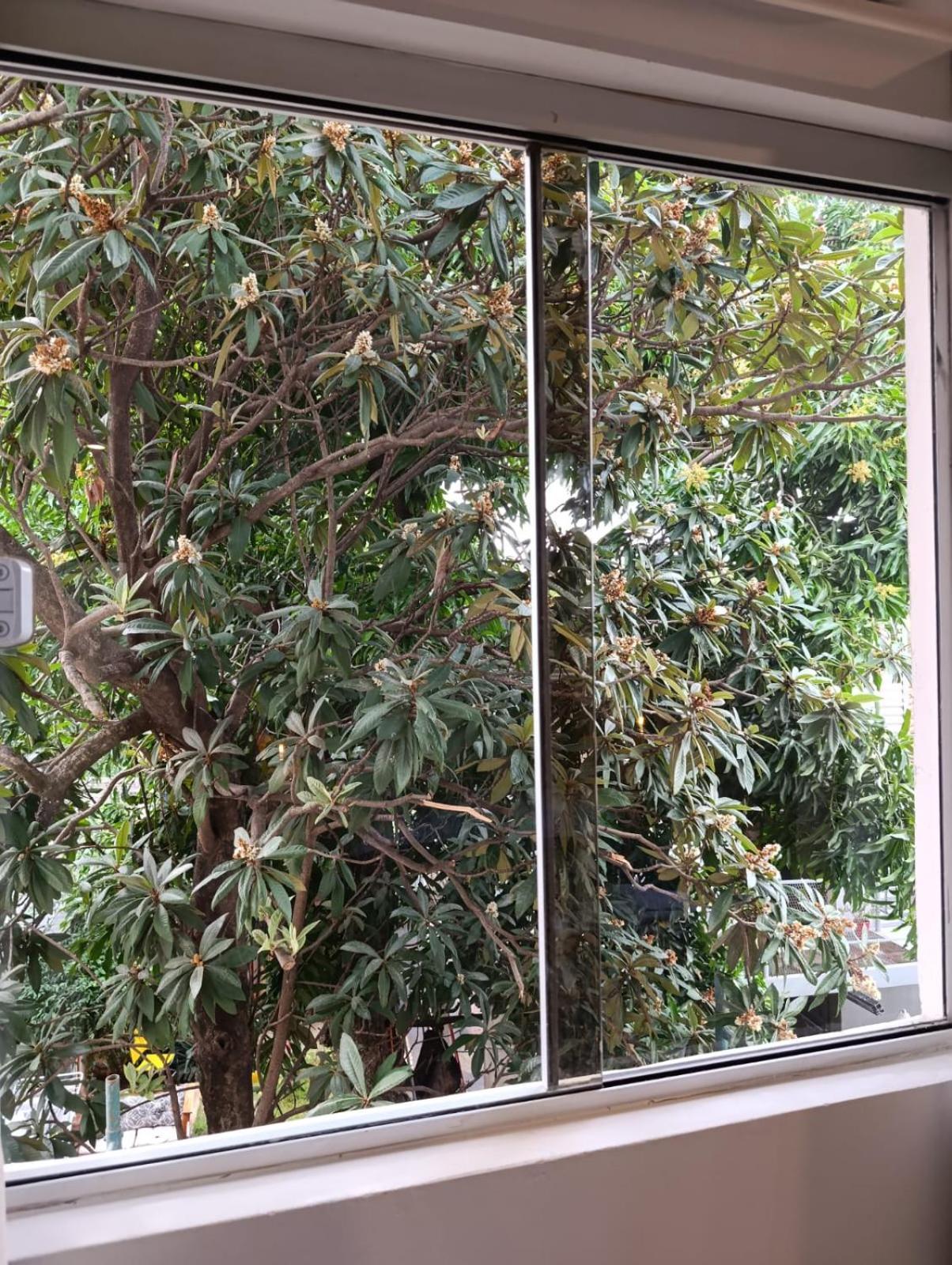 Taguato Apartment Asuncion Bagian luar foto